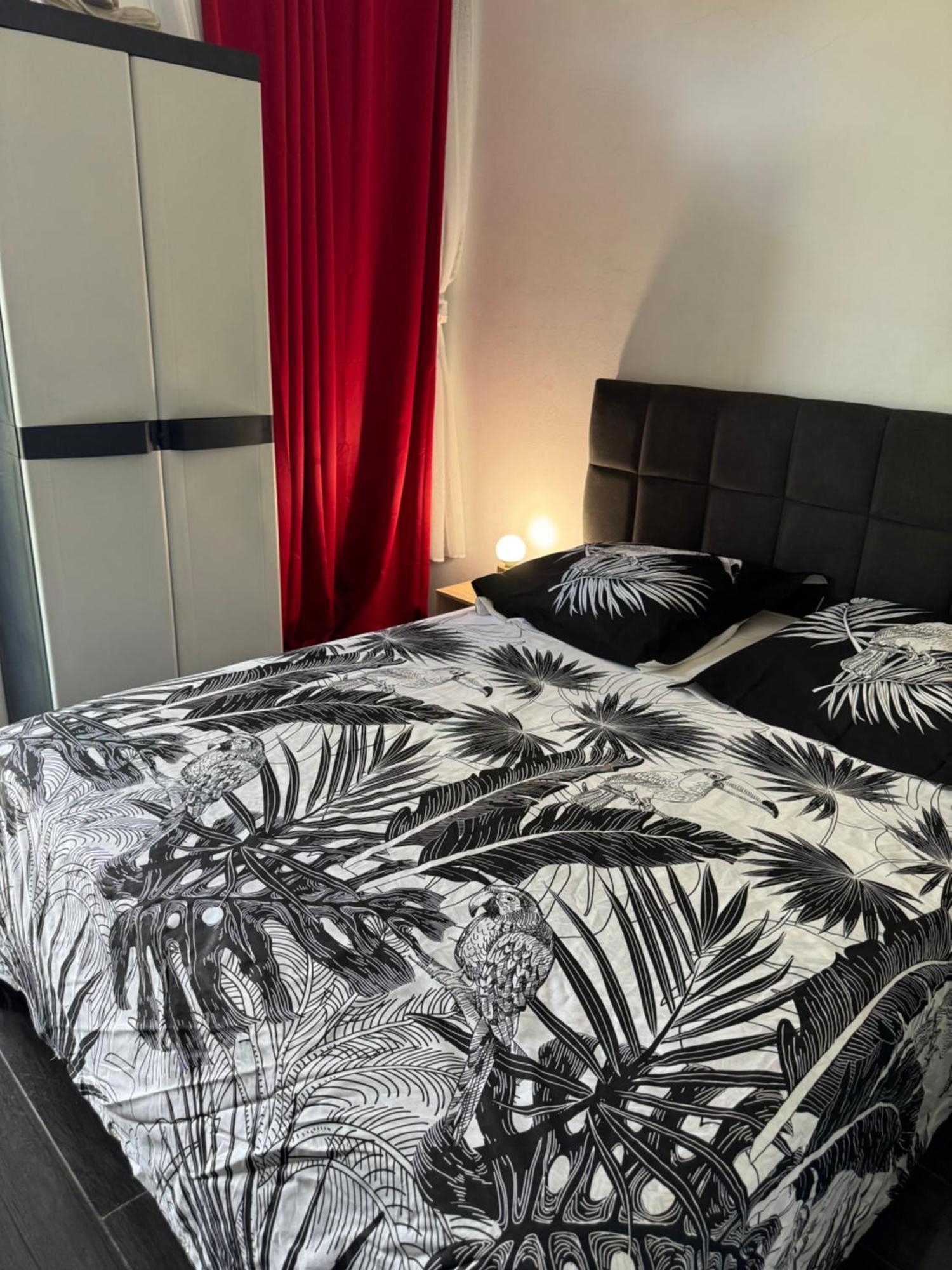 Skys Location Pakehina Bed & Breakfast Schoelcher Luaran gambar